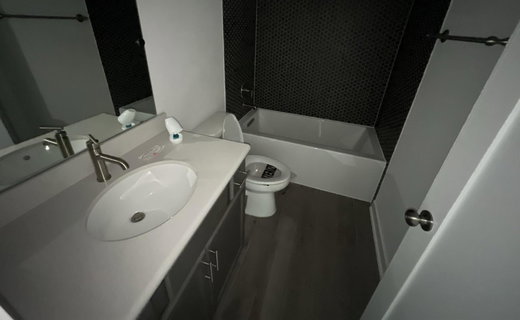 Bathroom featuring vanity, dark wood-style floors