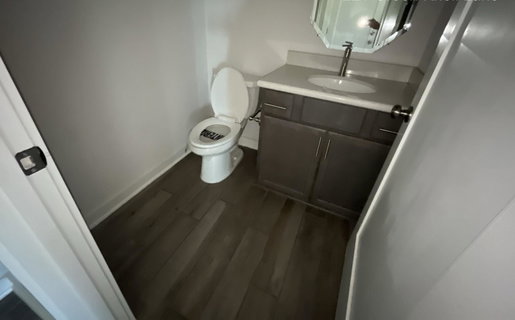 Bathroom with vanity and dark wood-style flooring